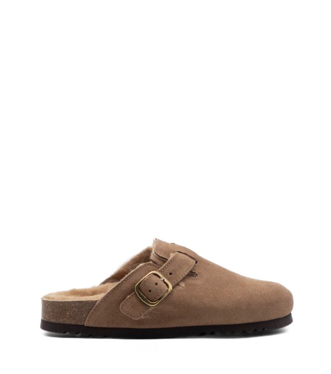 Scholl