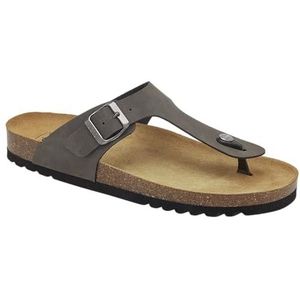 Scholl