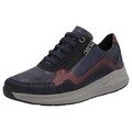 Solidus Kitty blauw